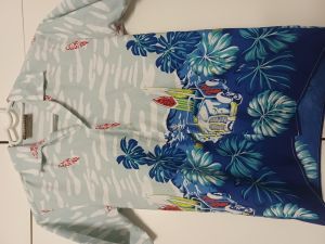 Kids Costumes to Hire - Hawaii Shirt - 9 -10 years